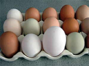Eggs tray