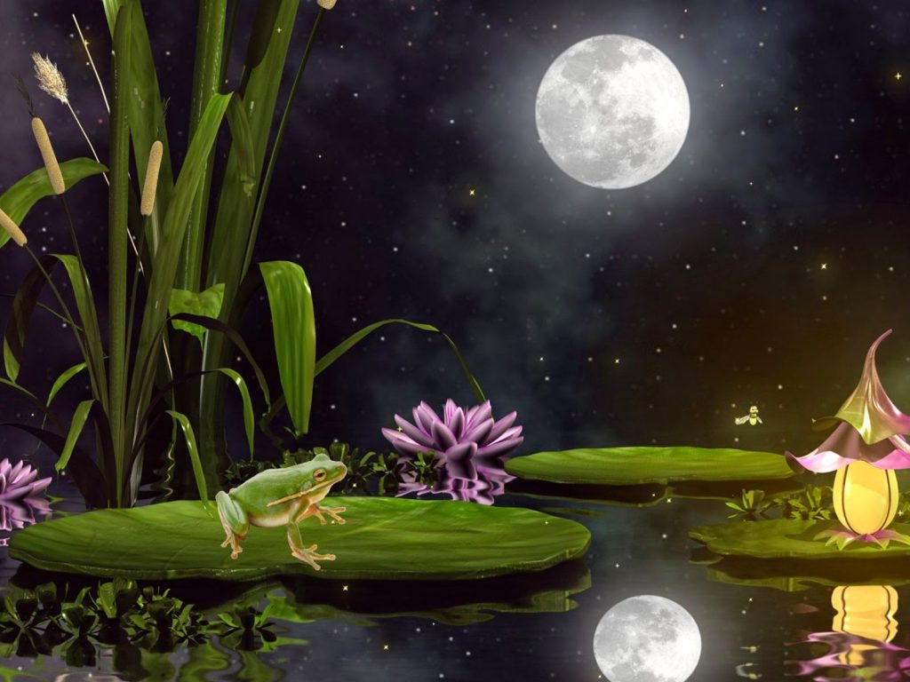 Moon's reflection in lake